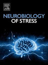 Neurobiology of Stress封面